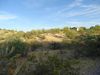 1095 S 328th Ave photo